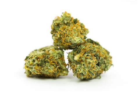 Don’t confuse this <strong>strain</strong> with White Widow as they look nearly identical/have similar flavors but smoke very differently. . Frosted hog strain info